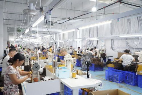 谷子經(jīng)濟(jì)走紅拼多多 小發(fā)絲牽動大民生與產(chǎn)業(yè)新圖景